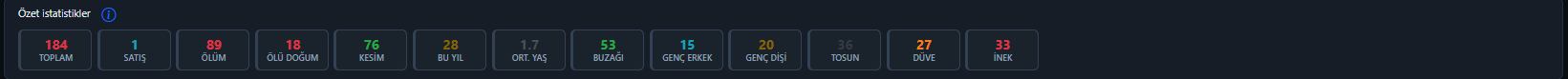 Özet istatistik kartları