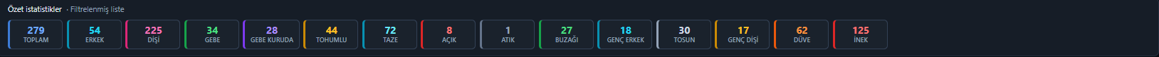 Genel rapor özet kartları