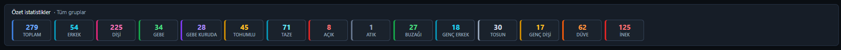 Özet istatistik kartları